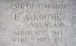 Nieuwland Elisabeth Arentje 1863-1932 (detail grafsteen).JPG
